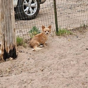 Meet your Posher, Jodi